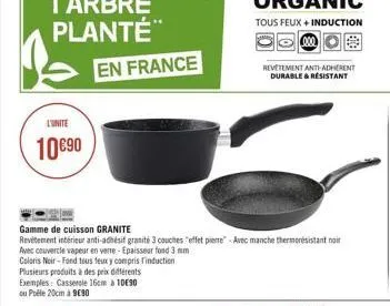 l'unite  1090  en france  revetement anti-adherent durable & resistant