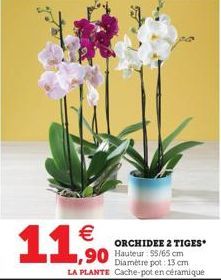 €  11,90  ORCHIDEE 2 TIGES Hauteur: 55/65 cm Diamètre pot: 13 cm  LA PLANTE Cache-pot en céramique 