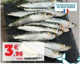 €  3,90  LE KG SARDINE  