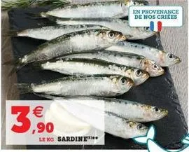 €  3,90  le kg sardine  