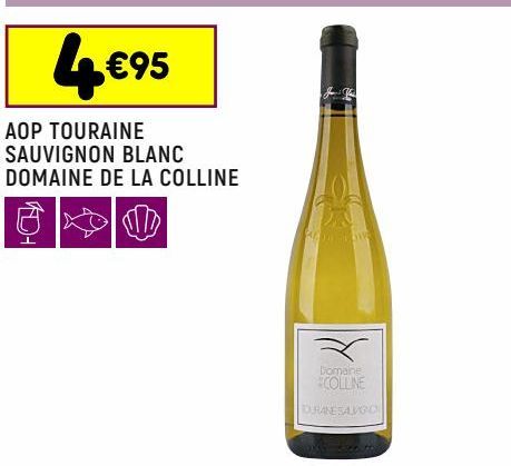 Aop touraine sauvignon blanc domaine de la colline