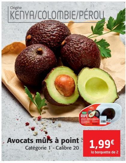 Avocats murs à point 