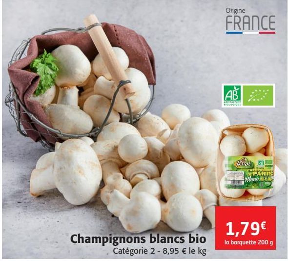 champignons blancs bio