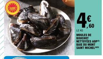 moules 