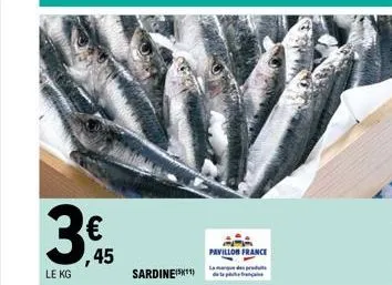 sardines 