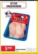 poulet 