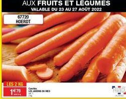 fruits et légumes 