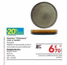 www.  20%  Gamme "Quintana" COSY & TRENDY  Porcelaine  Adapties laufour  miooandes et au four  Exemple de ade  A  023cm. Coloris vet 251875  8  70  Catycoo oft: fotarte  cal 