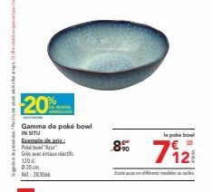 www  20%  www..com  Gamme de poké bowl  IN SITU  Exemple de ada Polbo "A"  Gnls avec inauurlatth  120 d  020cm.  RM: 283066  le poke bowl  8% 712 