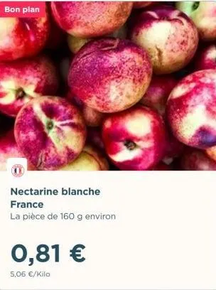 bon plan  nectarine blanche  france  la pièce de 160 g environ  0,81 €  5,06 €/kilo  