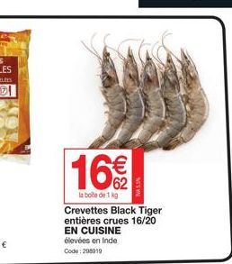 16€  la boite de 1 kg  Crevettes Black Tiger entières crues 16/20 EN CUISINE élevées en Inde  Code: 298919  WAS 