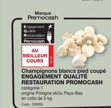 champignons 