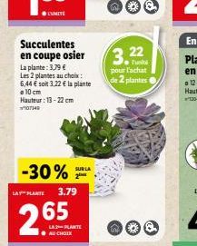 Succulentes en coupe osier  La plante: 3.79 € Les 2 plantes au choix: 6,44 € soit 3,22 € la plante  10 cm Hauteur: 13-22 cm 07149  -30% 3.79  SUR LA  LAY PLANTE  2.65  LA-PLANTE  AU CHOIX  3.22  ●Turb