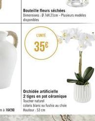 Bouteille fleurs séchées Dimensions: 07x1.21cm-Plusieurs modeles disponibles  LUNCTE  35€  Orchidée artificielle  2 tiges en pot céramique Toucher naturel  coloris blanc ou fushia au choix Hauteur: 53