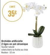 LUNCTE  35€  Orchidée artificielle  2 tiges en pot céramique Toucher naturel  coloris blanc ou fushia au choix Hauteur: 53 cm 