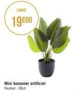 L'UNITE  19€90  Mini bananier artificiel Hauteur: 38cm 