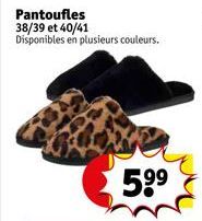 pantoufles 