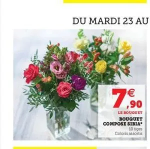 7  € ,90  le bouquet bouquet compose sibia 10 tiges coloris assortis 