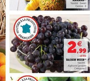 SOUTIEN  PROPION-351V  €  2,9⁹9)  LENG  RAISIN NOIR  Variété  Alphone Lavallée  Catégorie 1 