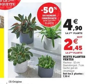 (3) origine  -50%  de remise immediate sur la 2 plante  €  4,900  la 1 plante  soit  €  1,45  la 2e plante  mixte plantes vertes  hauteur: 12 cm diamètre pot: 7 cm cache-pot en  céramique  soit les 2 