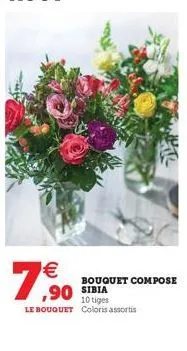 €  7,90  hitl  bouquet compose  10 tiges le bouguet coloris assortis 