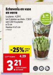 Echeveria en vase  en verre  La plante: 4,29 €  Les 2 plantes au choix: 7,50 €  soit 3,50 € la plante a 13 cm  Hauteur 4 à 5 cm 42507  -25% LA PLANTE 4.29  321  LA PLANTE AUCHODK  SUR LA  3.50 