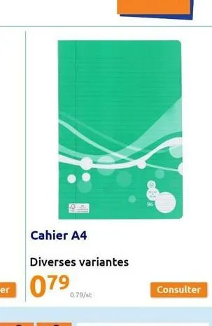 cahier a4  diverses variantes  0.79/st  96  consulter 