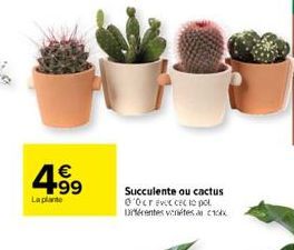 4.99  €  La plante  Succulente ou cactus 00cr Ecco pot Urférentes ventes 