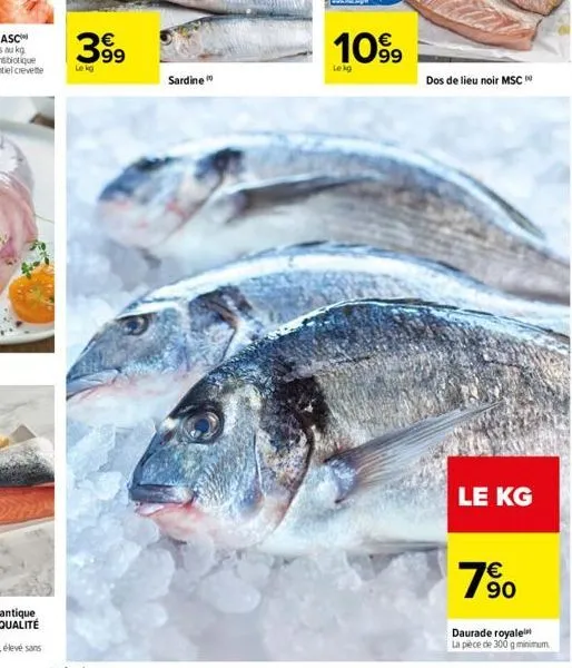 399  sardine  1099  lekg  dos de lieu noir msc  le kg  € 90  daurade royale  la pièce de 300 g minimum. 