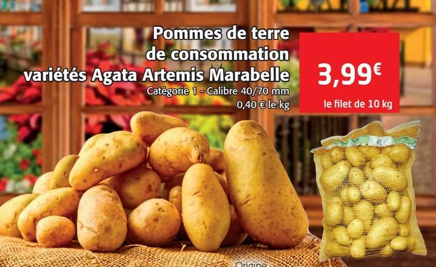 pommes de terre de consommation variétés agata artemis marabelle 
