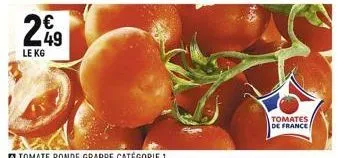 tomates 