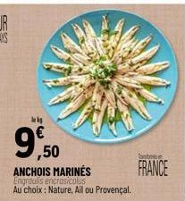 lek  9,50  ANCHOIS MARINES  Engraulis encrasicalus Au choix: Nature, Ail ou Provençal.  Tantmes  FRANCE 