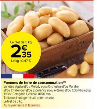 pommes de terre 