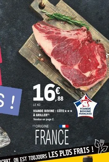 viande bovine 