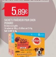 sachet Pedigree