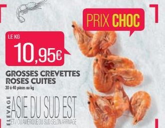 LE KG  10,95€  GROSSES CREVETTES ROSES CUITES 30 à 40 pièces ou kg  W  ASIE DU SUD EST  ET/OU AMERIQUE DU SUD SELON ARMAGE  PRIX CHOC  1 