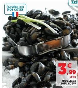 ÉLEVÉES SUR NOS CÔTES  €  3.99  LE KO  MOULE DE BOUCHOT™* 