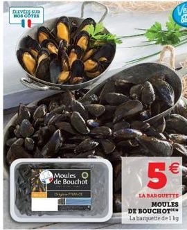 ELEVES SUR HOS CÔTES  Moules O de Bouchot CriyhFRANCE  5€  LA BARQUETTE MOULES  DE BOUCHOT La barquette de 1 kg  