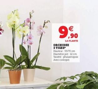 €  9,90  LA PLANTE  ORCHIDEE 3 TIGES  Hauteur 55/70 cm Diamètre pot: 12 cm Variété phalaenopsis Avec coverpot 