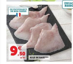 EN PROVENANCE DE NOS CRIÉES  € ,50  LE KG AILE DE RAIE 