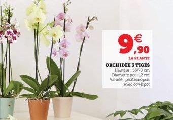 9€,⁹0  LA PLANTE  ORCHIDEE 3 TIGES Hauteur: 55/70 cm Diamètre pot: 12 cm Variété phalaenopsis Avec coverpot 