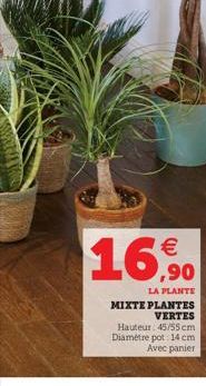 €  16,90  LA PLANTE MIXTE PLANTES VERTES Hauteur: 45/55 cm Diamètre pot: 14 cm Avec panier 