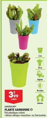 20cm  3,99  GARDENLINE PLANTE CARNIVORE O Pot plastique coloré.  «Vénus attrape-mouches ou Sarracenie.  Regulier  M 