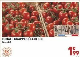 tomate grappe sélection  catégorie 1  france  19⁹  lek 