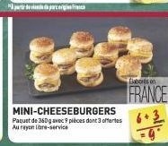 patvir  MINI-CHEESEBURGERS  Paquet de 360 g avec 9 pièces dont 3 offertes Au rayon libre-service  Elaborés on  FRANCE 