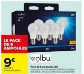 le pack de 6 ampoules  9€  wolbu  pack de led 