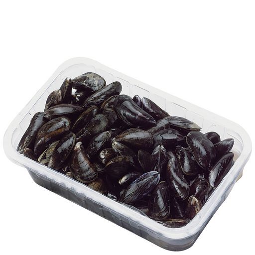 moules de hollande