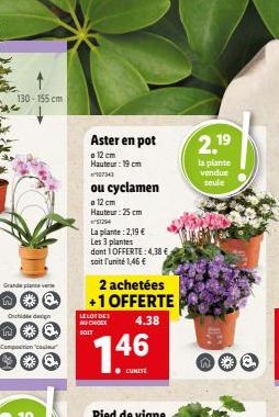 130-155 cm  Grande plante verse  Onchide dign  Aster en pot  ☐ 12 cm Hauteur: 19 cm 107343  ou cyclamen  12 cm  Hauteur: 25 cm $1294  AU CHOIX SOIT  *** 146  La plante: 2,19 €  Les 3 plantes  dont 1 O