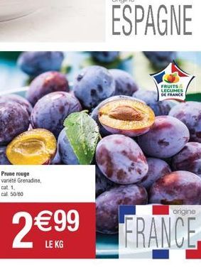 ESPAGNE  FRUITS LEGUMES  DE FRANCE 