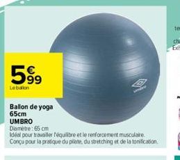 63  99  Lebalion  Ballon de yoga 65cm  UMBRO  Diamètre: 65 cm  Idéal pour travailler équilibre et le renforcement musculaire Conçu pour la pratique du pilate, du stretching et de la tonification.  O 